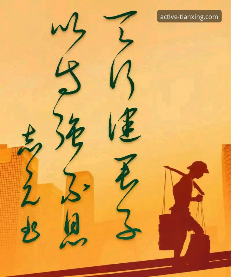 深度揭秘：天行体育专属内容背后的行业变革力量