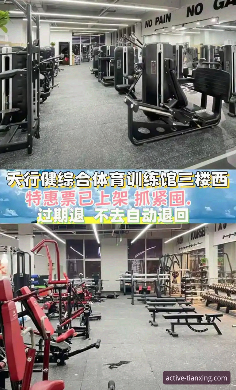 天行体育平台最新动态：活力激情运动平台如何重塑你的运动体验？